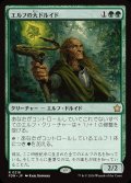 エルフの大ドルイド/Elvish Archdruid