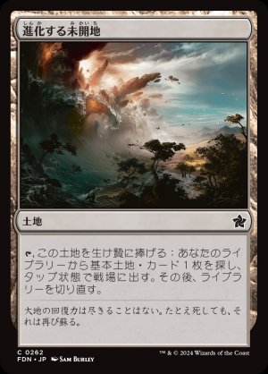 画像1: 進化する未開地/Evolving Wilds