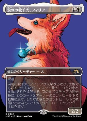 画像1: 溌剌の牧羊犬、フィリア/Phelia, Exuberant Shepherd