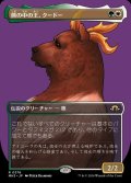 熊の中の王、クードー/Kudo, King Among Bears