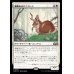 画像1: 威厳あるバニコーン/Regal Bunnicorn (1)