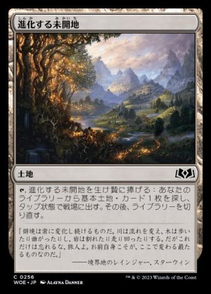 画像1: 進化する未開地/Evolving Wilds