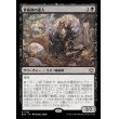 画像1: 骨術師の達人/Osteomancer Adept (1)