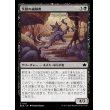 画像1: 茨鎧の威嚇者/Thornplate Intimidator (1)