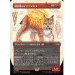 画像1: 陽背骨のオオヤマネコ/Sunspine Lynx (1)