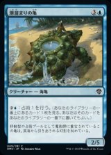 画像: 《潮溜まりの亀/Tidepool Turtle(069)》【JPN】[DMU青C]