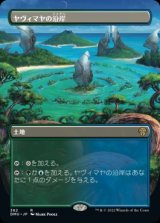 画像: 《ヤヴィマヤの沿岸/Yavimaya Coast(382)》【JPN】[DMU土地R]