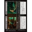 画像1: 荒らされた地下室+解剖室/Defiled Crypt+Cadaver Lab (1)