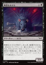 画像: 無害なネズミ/Innocuous Rat