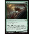 画像1: 欄干ワーム/Balustrade Wurm (1)