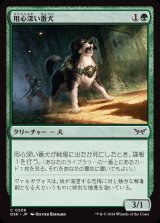 画像: 用心深い番犬/Wary Watchdog