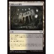 画像1: 放置された邸宅/Neglected Manor (1)