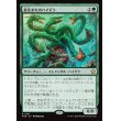 画像1: 苔生まれのハイドラ/Mossborn Hydra (1)