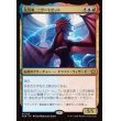 画像1: 先見者、ニヴ＝ミゼット/Niv-Mizzet, Visionary (1)