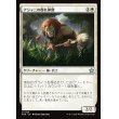 画像1: アジャニの群れ仲間/Ajani's Pridemate (1)