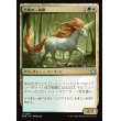 画像1: 吉兆の一角獣/Good-Fortune Unicorn (1)