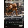 画像1: アジャニの群れ仲間/Ajani's Pridemate (1)