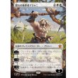 画像1: 群れの統率者アジャニ/Ajani, Caller of the Pride (1)