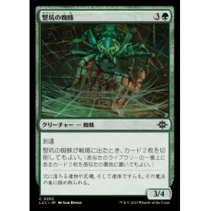 イクサラン：失われし洞窟 - MTG専門店しかのつの (Page 8)