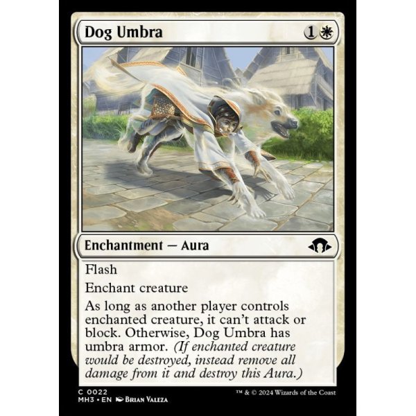 画像2: 犬の陰影/Dog Umbra (2)