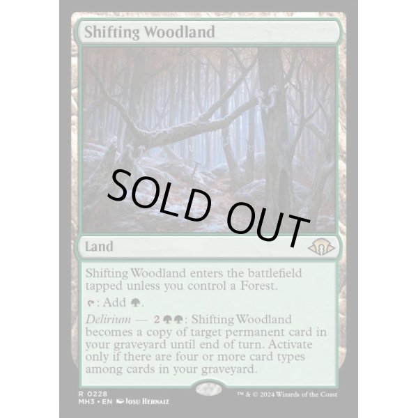 画像2: 変容する森林/Shifting Woodland (2)