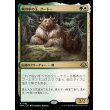 画像1: 熊の中の王、クードー/Kudo, King Among Bears (1)