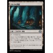 画像1: ウルザの洞窟/Urza's Cave (1)