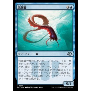 画像: 浅瀬蟲/Reef Worm