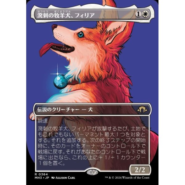 画像1: 溌剌の牧羊犬、フィリア/Phelia, Exuberant Shepherd (1)