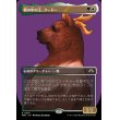 画像1: 熊の中の王、クードー/Kudo, King Among Bears (1)