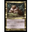 画像1: 熊の中の王、クードー/Kudo, King Among Bears (1)