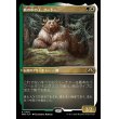 画像1: 熊の中の王、クードー/Kudo, King Among Bears (1)