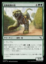 画像: 装飾庭園の豹/Topiary Panther