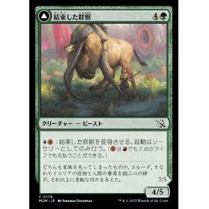 画像: 《結束した群獣/Bonded Herdbeast(0178)》【JPN】[MOM緑C]