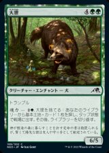 画像: 《大狸/Greater Tanuki(189)》【JPN】[NEO緑C]