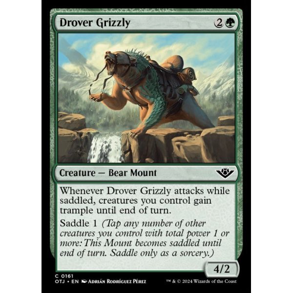 画像2: 群追いの灰色熊/Drover Grizzly (2)