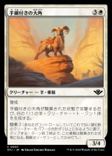 画像: 手綱付きの大角/Bridled Bighorn