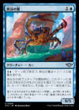 画像: 峡谷の蟹/Canyon Crab