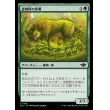 画像1: 逆棘群の歩哨/Bristlepack Sentry (1)