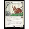 画像1: 威厳あるバニコーン/Regal Bunnicorn (1)