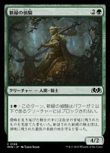 画像: 新緑の偵騎/Verdant Outrider