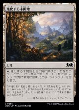 画像: 進化する未開地/Evolving Wilds