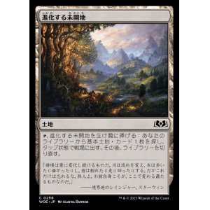 画像: 進化する未開地/Evolving Wilds