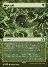 画像: 硬化した鱗/Hardened Scales