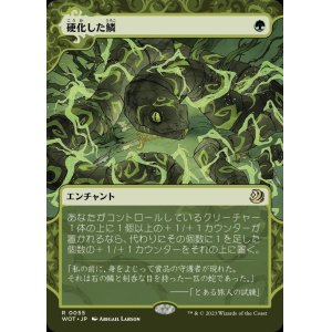 画像: 硬化した鱗/Hardened Scales